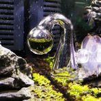 Longbangdian Shop Yüksek Li Balık Tankı Su Canlı Yosun Bitki Akvaryum Notları Cam Co2 Damla Denetleyicisi Karbon Dioksit Ph Topu Uzun Vadeli Gösterge (Yurt Dışından)