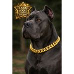 LOOL PREMİUM 2.5cm METAL KALIN ZİNCİR TASMA KÖPEK ZİNCİR KOLYE