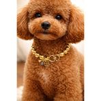 LOOL PREMİUM BÜYÜK İNCİ KOLYE TASMA KÖPEK KOLYESİ BRONZ ALTIN BEYAZ İNCİ KOLYE