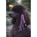 LOOL PREMİUM YENİ TREND KÖPEK TOKASI SAÇ İPİ AKSESUARI KÖPEK TÜYÜ ÇIT ÇIT TOKA