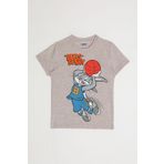 Looney Tunes L1585-2 Mocha Melanj Erkek Çocuk T-shirt