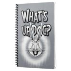 Looney Tunes Whats Up Doc Spiralli Defter Gri Çizgili