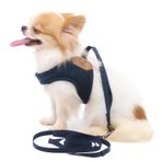 LOPHIPETS Küçük Köpekler için Tasma Seti ile Hafif Köpek Koşum Chihuahua Yorkie Yavru Kedi Mavi/S
