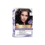 LOREAL EXCELLENCE 3.11