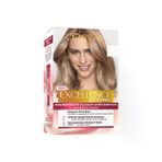 LOREAL EXCELLENCE 8.1