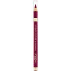 Loreal Paris 374 Intense Plum Dudak Kalemi