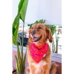 Lorico Desenli Ve Çıtçıtlı Köpek Fuları (Pembe Turuncu)