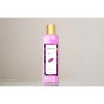 Lorient Begonvil Kolonya, 400 Ml