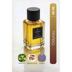Lorinna Paris ARES XL 50 ML EDP ERKEK PARFÜM