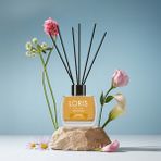 Loris 120 ml Zencefilli Oda Kokusu