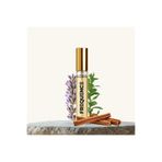 Loris E-236 Frequence 10 ml Erkek Parfüm Edp