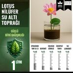 Lotus Çiçeği (Nilüfer) için Su Altı Torf Karışımı Toprağı (1 LT Toprak) - 1 adet lotus tohumu hediyeli