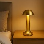 Lotus Gold Şarjlı Dokunmatik Masa Lambası - LED Işıklı, 3 Renk Seçeneği, Taşınabilir ve USB Şarjlı, Şık ve Kompakt Tasarım, Yatak Odası, Çalışma Masası, Kafe ve Restoran Kullanımı İçin