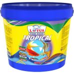 Lotus Tropical Mix 3kg Kova Lepistes Melek Moli Canlı Doğuran Balık Yemi, Amore Betta granules 4x125 ml Kutu