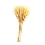LOVE 40 Cm 1 Demet Natural Organizasyon Kuru Çiçek Doğal Başak Buğday Başağı – Yapay Çiçek Dekor, Masa S