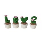 Love Kaktüs Seti Amigurumi Organik Oyuncak