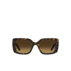 Love Moschino Kadın Güneş Gözlüğü MOL090/S