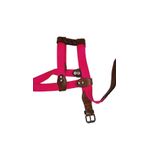 Lovely Ayarlanır Köpek Göğüs Tasması 2,5cm 10-20 Kg Aralığındaki Köpeklere PEMBE