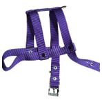 Lovely Ayarlanır Köpek Göğüs Tasması 2cm 5-17 Kg Aralığındaki Köpeklere MOR