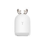 Lovely Humidifier Ortam Dezenfeksiyon Ve Şık Buhar Makinesi