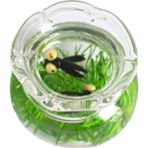 Lovoski 1/12 Minyatür Balık Kase Masa Akvaryum Dollhouse Masaüstü Süsler Için Dekor Siyah (Yurt Dışından)