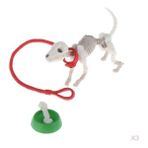 Lovoski 3 Adet Mini Iskelet Köpek Oyuncaklar 1/12 Ölçekli Dekorasyon ile Kase Kemik (Yurt Dışından) - Renkli
