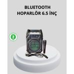 Lowell Home Taşınabilir Bluetooth Hoparlör – Fm Radyo USB Sd Kart ve Tws Özellikli - LO0029-601X51 - Çok Renkli
