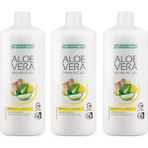 Lr Aloe Vera Jel Içecek Zencefil ve Limon 1000 ml 3'lü Set