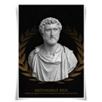 Lrajan&Daucus Roma İmparatoru Göğüs Portre Koleksiyonu - Antik Roma Imperator A3 Kumaş Posterler Duvar Sanatı Ev Dekoru (15 Antoninus Pius)
