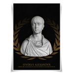 Lrajan&Daucus Roma İmparatoru Göğüs Portre Koleksiyonu - Antik Roma Imperator A3 Kumaş Posterler Duvar Sanatı Ev Dekoru (27 Severus Alexander)
