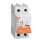 LS Electric 0612002218 2 Kutup 25 A 6 kA C Tipi Otomatik Sigorta