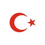 LTS Türk Bayrağı Oto Sticker - Kırmızı - 15x11 CM