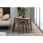 LUCİ 4LÜ MDF AHŞAP ZİGON SEHPA - MEŞE