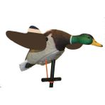 Lucky Duck Lucky Junior 2 Motorlu Ördek Mühresi