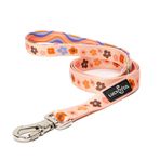 Lucy & Co. Tasarımcı Köpek Tasması - Evcil Hayvan Aksesuarları - Kalın Köpek Tasması - Konfor için Dolgulu Sap - Yeşil Çiçekli Mor - 5 Ayak (Mor Mercan Çiçeği, Küçük)
