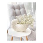 Lui Tasarım Krem Rengi Snail Salyangoz Vazo XL Boy 25*17 cm Seramik Modern Şık vazo Dekorasyon Salon Ev Otel