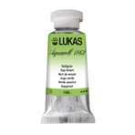 Lukas Suluboya 1862 24 ml, profesyonel kalitede suluboya boya, meyve suyu yeşili