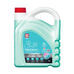 LUKOIL BUBBLE GUM KOKULU -10 KIŞLIK CAM SUYU 3 LT