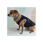 Lulu The Urban Pup İçi Yünlü Kot Ceket / Cosy Up Denim Jacket