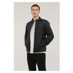 lumberjack SN21 PERRY COAT İNCE ŞİŞME MONT ERK. - SİYAH - M - -SİYAH-M ST05368