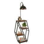 Lumexx Sembol Ceviz Retro 3 Başlıklı Lambader