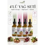 LUMİNAOİL Çok Amaçlı Saç Bakım Seti 4'Lü Doğal Yağ Serisi | Argan | Jojoba | Hint | Çam Terebentin