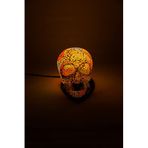 Luminocrafts El Yapımı Cam Mozaik Lamba, Kurukafa Gece Lambası, Yoga Meditasyon Işığı, Bali El Yapımı Dekoratif Lamba, Skull Lamp, Shiny Glass Mosaic Lamp (Rainbow)