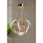 Luna Lighting Clasy Gold Kaplama Metal LED Avize Şık Tasarım Beyaz Işık ile Modern İç Mekan Aydınlatma