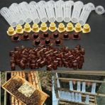 Luoditong Shop 100 Setlot Arıcılık Yetiştirme Fincan Seti Kraliçe Arı Kıl Silindir Kafesleri Hücre Bardaklık ve Hücre Armatürleri Arıcı Ekipmanları (Yurt Dışından) - arıcılık malzemeleri