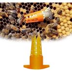 Luoditong Shop 20 Adet | Plastik Arı Kraliçe Kafesi Koruyucu Push-In Kapak Arılar Hücre Koruyucu Kapak Arıcı Malzemeleri Için Mal Araçları (Yurt Dışından) - arıcılık malzemeleri