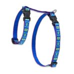 LupinePet Originals 1/2 "Deniz Camı 12-20" H-tarzı Küçük Evcil Hayvanlar için Koşum Takımı