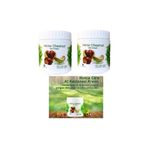 LUREVA Care At Kestanesi Kremi 500 ml Horse Chestnut Gel - Cream 2 Adet