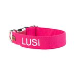 Lusi Doog İsimli Köpek Tasması İsimli Tasma Kişiye Özel Köpek Boyun Tasması I Küçük, Orta ve Büyük Irk Köpekler I Renk Seçenekli (Pembe, XS)