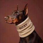 Lusi Doog İsme Özel Köpek Atkısı I Kişiselleştirilebilir Kışlık Köpek Polar I Fular - Bandana I Küçük, Orta ve Büyük Irk I Renk Seçenekli (Bej, X-Large)